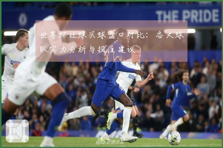 世界杯让球买球盘口对比：各大球队实力分析与投注建议