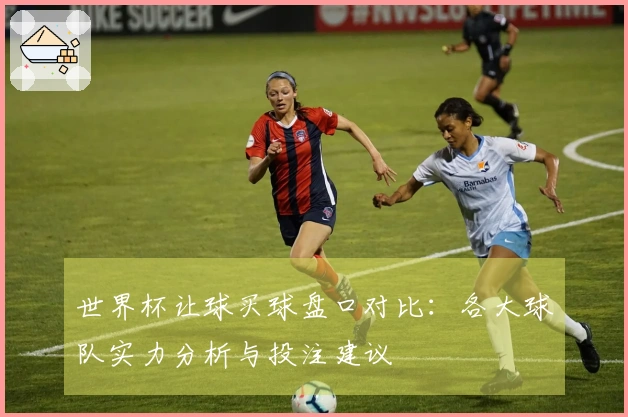 世界杯让球买球盘口对比：各大球队实力分析与投注建议