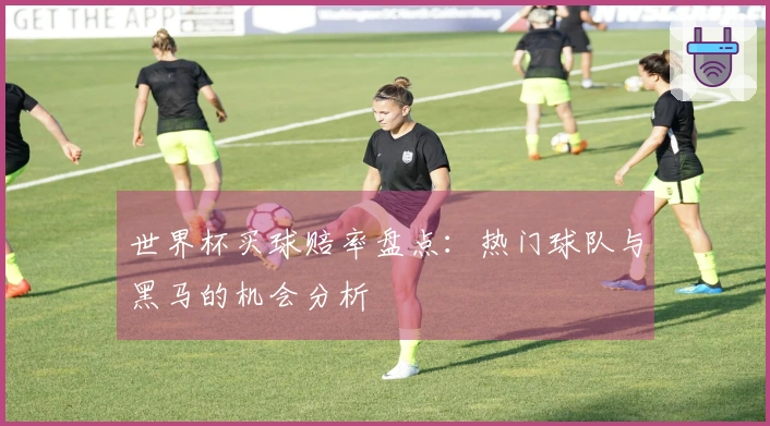 世界杯买球赔率盘点：热门球队与黑马的机会分析