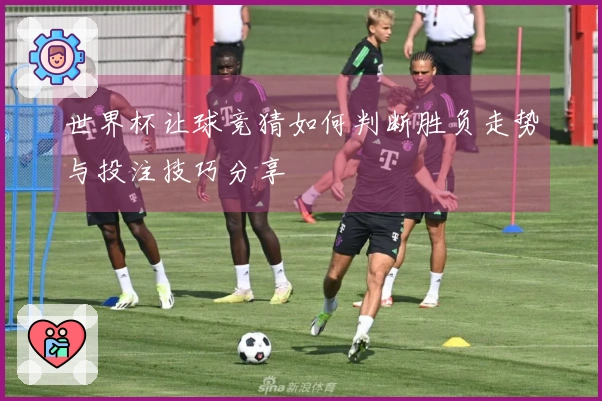 世界杯让球竞猜如何判断胜负走势与投注技巧分享