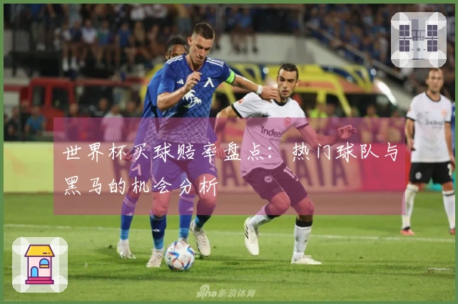 世界杯买球赔率盘点：热门球队与黑马的机会分析