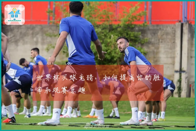 世界杯买球竞猜，如何提高你的胜率和观赛乐趣
