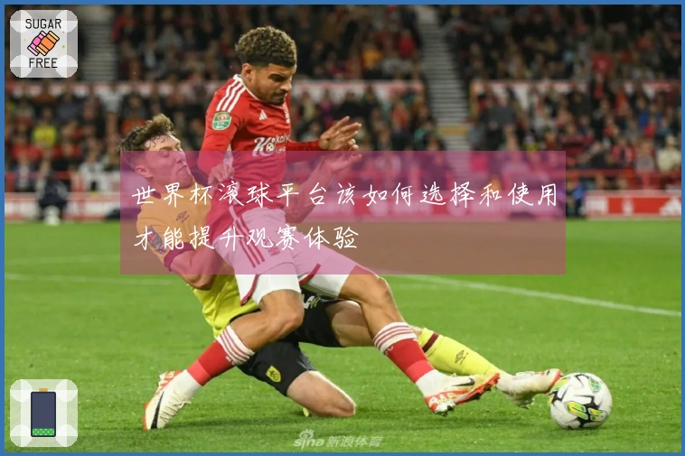 世界杯滚球平台该如何选择和使用才能提升观赛体验