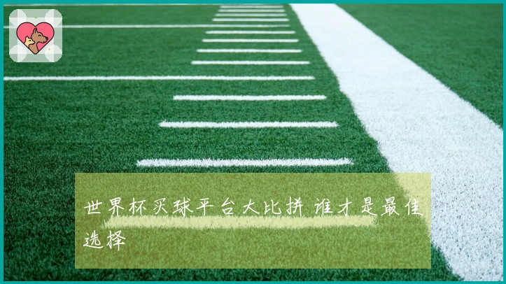 世界杯买球平台大比拼 谁才是最佳选择