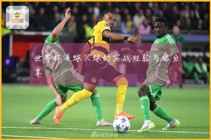 世界杯滚球买球的实战经验与你分享