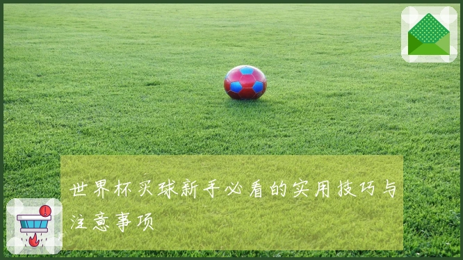 世界杯买球新手必看的实用技巧与注意事项