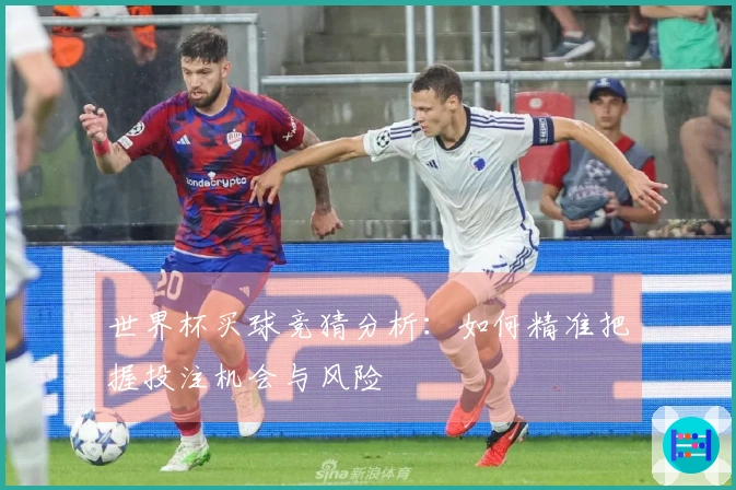 世界杯买球竞猜分析：如何精准把握投注机会与风险