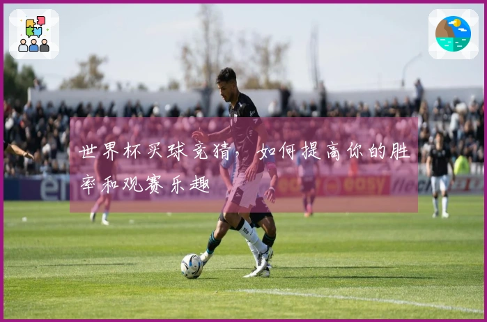 世界杯买球竞猜，如何提高你的胜率和观赛乐趣