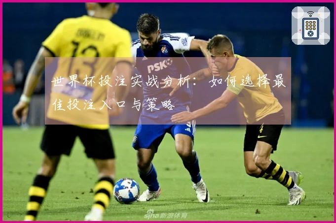 世界杯投注实战分析：如何选择最佳投注入口与策略