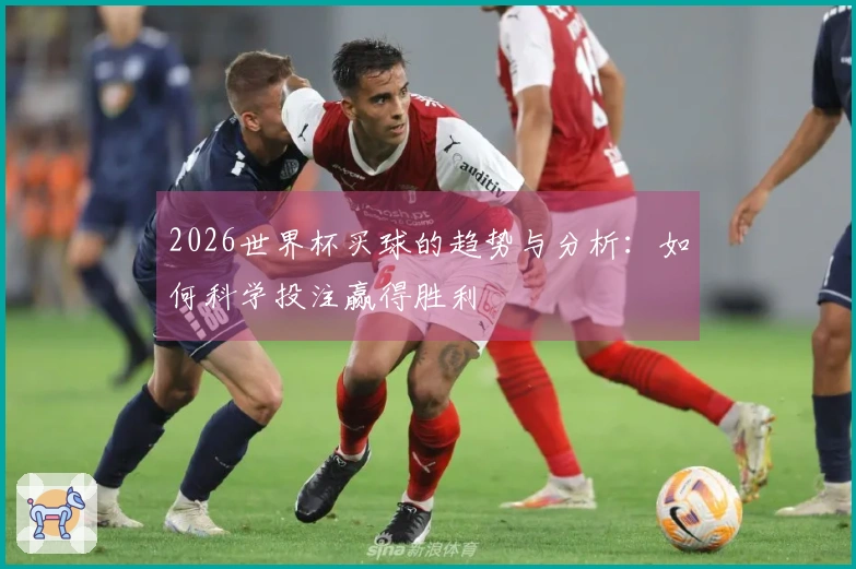 2026世界杯买球的趋势与分析：如何科学投注赢得胜利