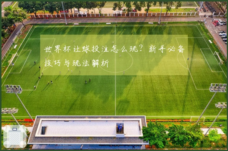 世界杯让球投注怎么玩？新手必备技巧与玩法解析