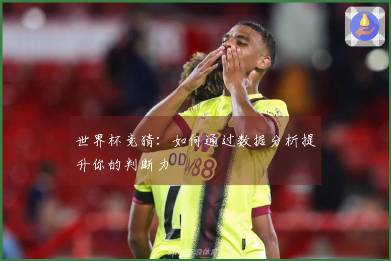世界杯竞猜：如何通过数据分析提升你的判断力