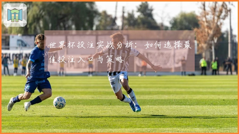 世界杯投注实战分析：如何选择最佳投注入口与策略